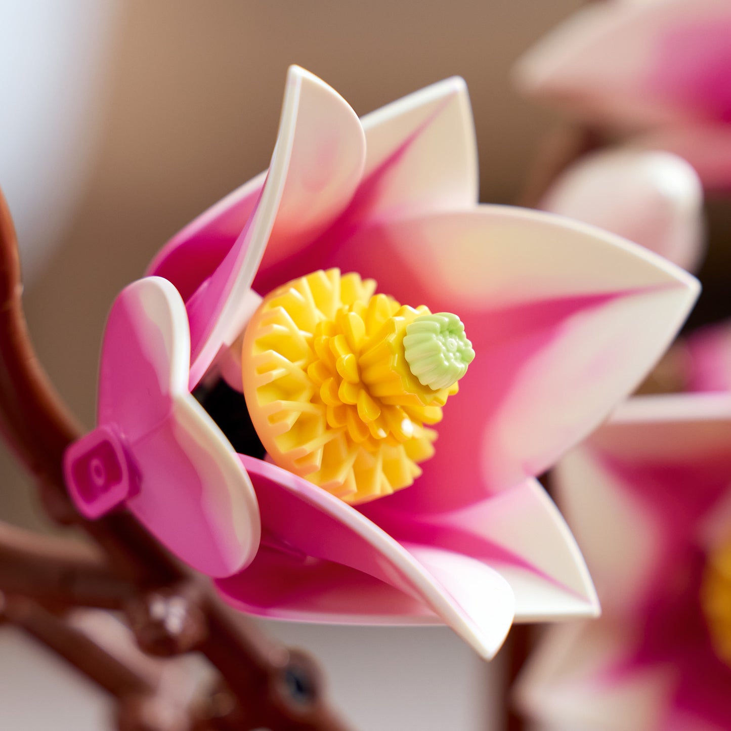 LEGO Botanicals Magnoliatakken – Bouwpakket voor Volwassenen met Nepbloemen – 5 Magnolia’s Kunstbloemen – Slaapkamer- of Woonkamerdecoratie – DIY Cadeau voor Vrouwen – 11510