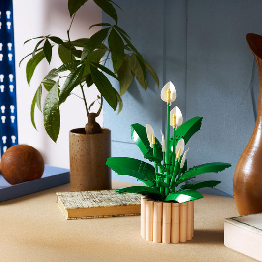 LEGO Botanicals Lepelplant Bloemen Decoratie Bouwpakket voor Volwassenen 11504