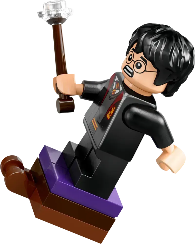 LEGO Kasteen Zweinstein Dueleerclub 76441 Harry Potter