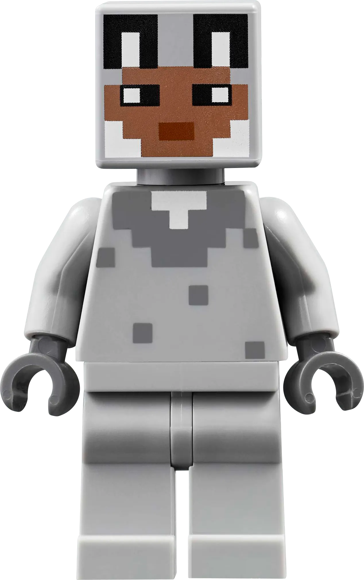 LEGO Das Schweinchenhaus 21268 Minecraft