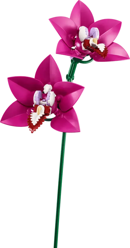 LEGO 10342 Roze boeket, nieuwe bloemenset van LEGO