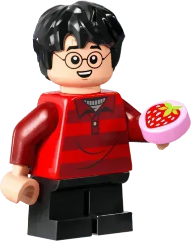 LEGO The Burrow - Collectors' Edition 76437 Harry Potter