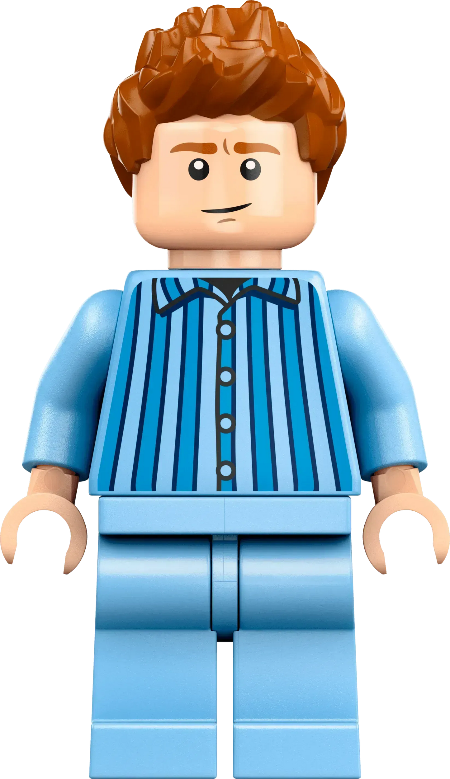 LEGO The Burrow - Collectors' Edition 76437 Harry Potter