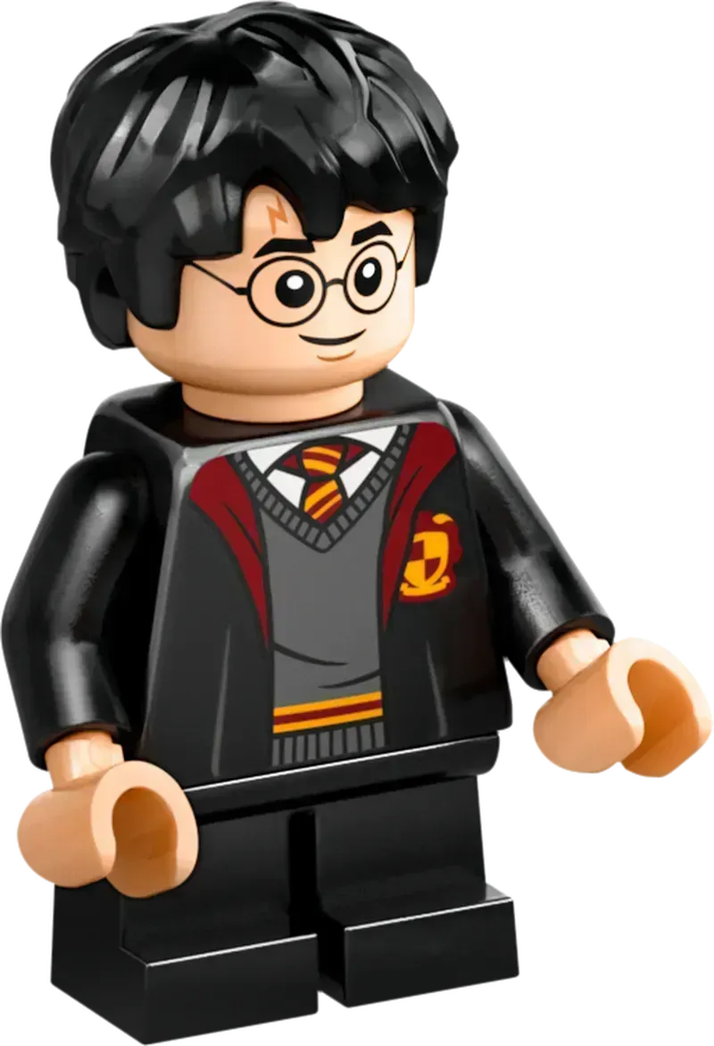 LEGO Kasteen Zweinstein Dueleerclub 76441 Harry Potter